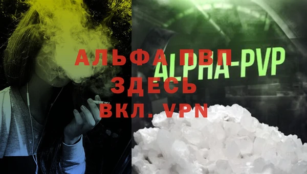 шишки Абаза