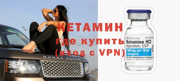 шишки Абаза