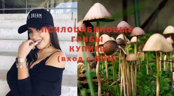 шишки Абаза