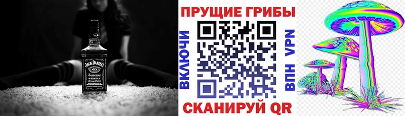 Купить где  Липецк  Галлюциногенные грибы мицелий 